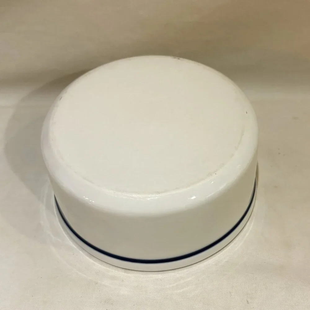 Ceramic Pottery Stoneware Pet Water Bowl H2O Blue White